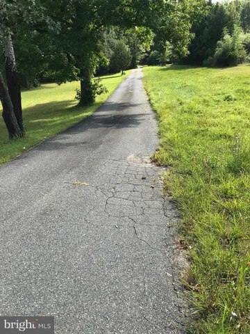 a view of a trees with yard next to a road