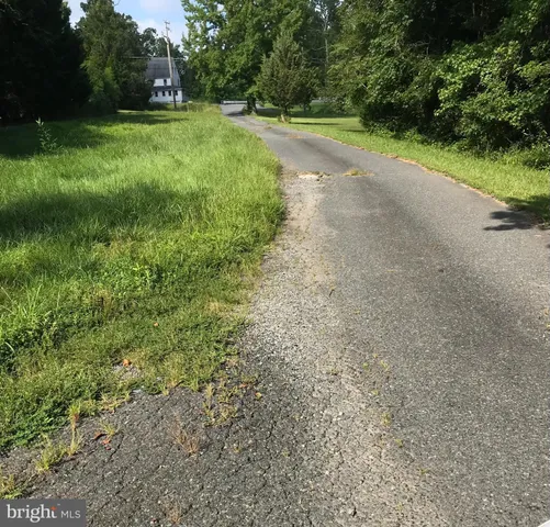 a view of a yard with large trees