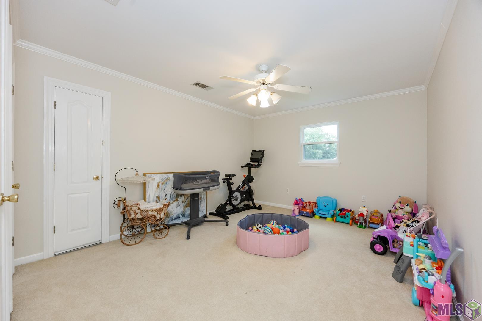 16490 Wesley Evans Road Prairieville, LA 70769 - Photo 30 of 46