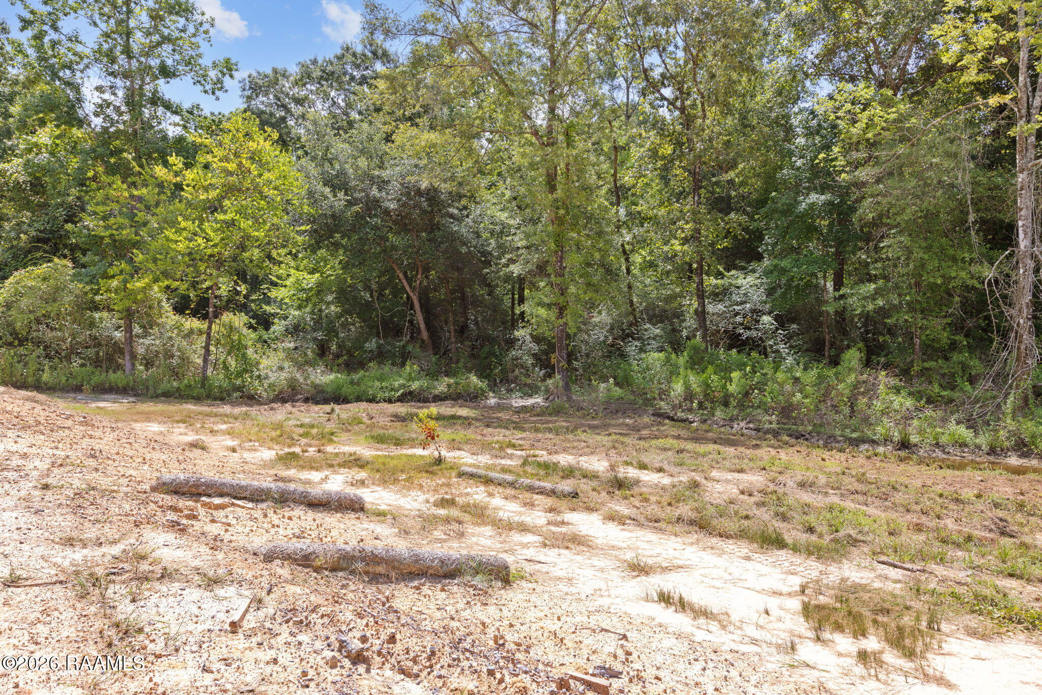 301 Crabapple Road Iota, LA 70543 - Photo 13 of 40 13-web-or-mls-803A6141