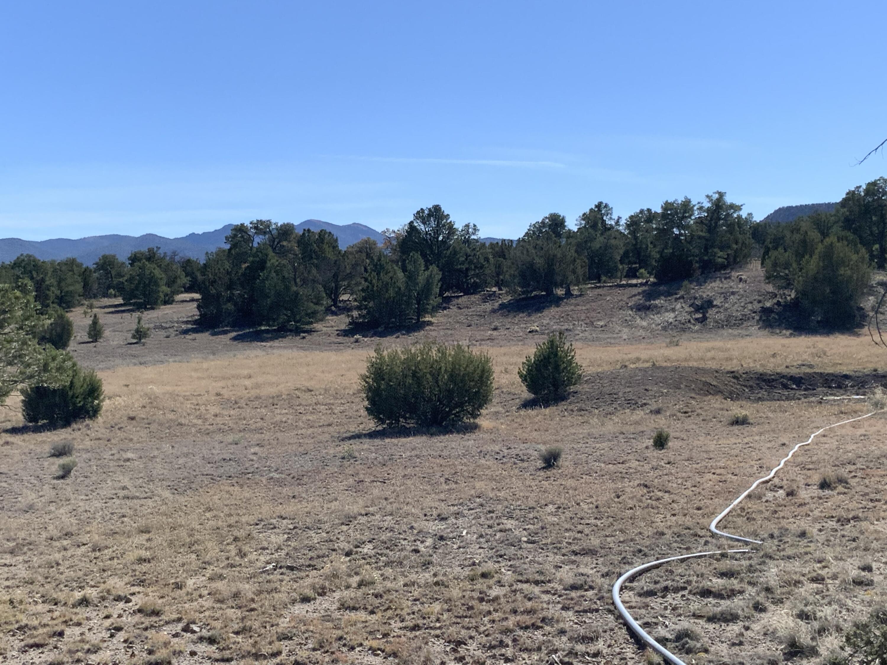 17 Jackass Lane Datil, NM 87821 - Photo 33 of 39 Gallery Image 33