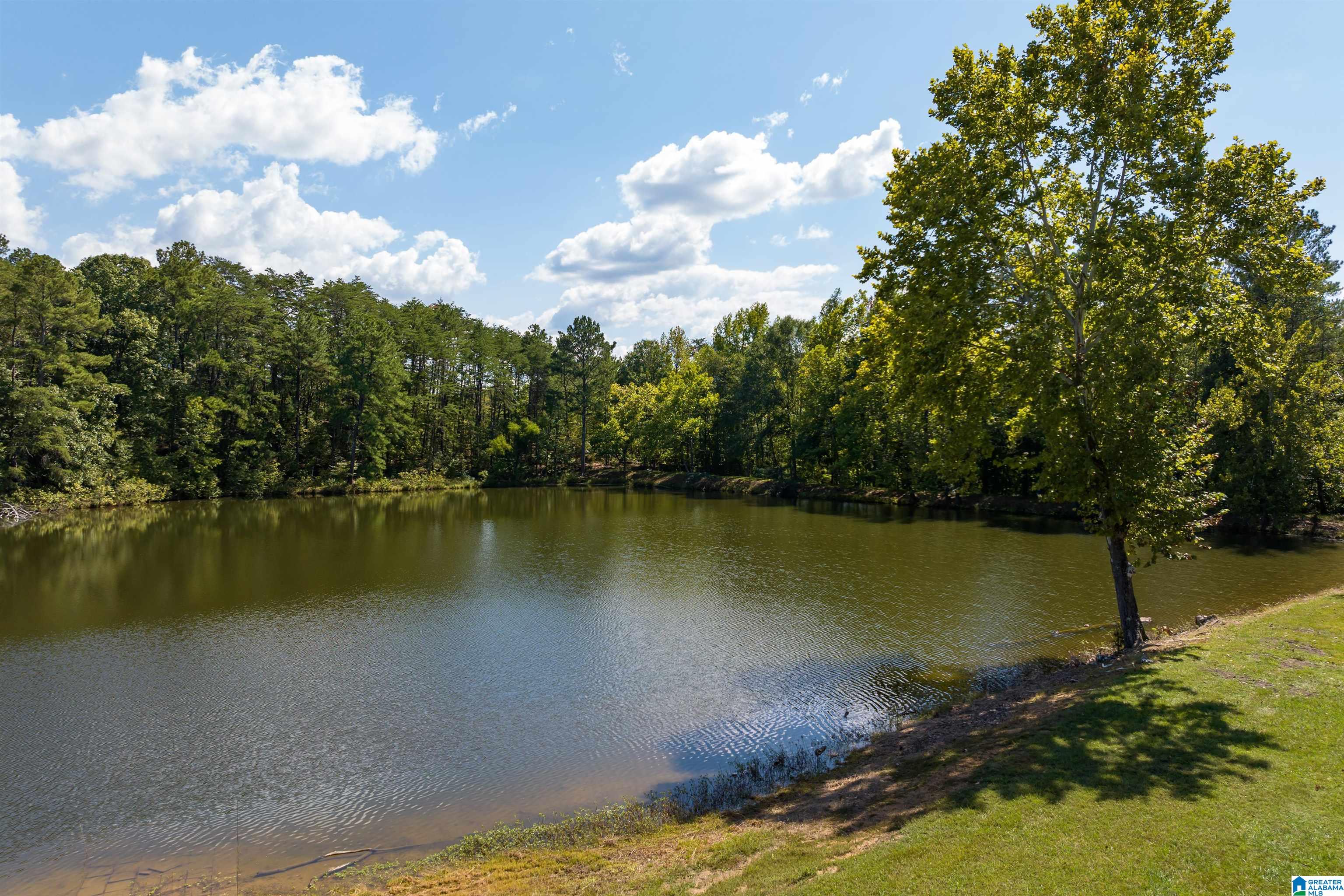 6677 Letson Lake Road Bessemer, AL 35023 - Photo 54 of 65