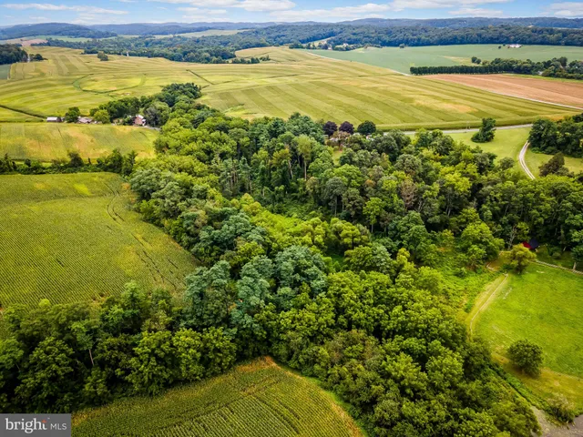 a view of an ocean and beach