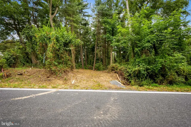 a view of yard along with trees