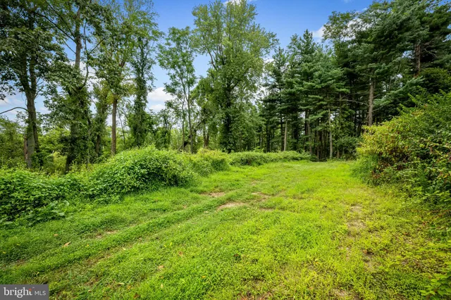 a view of outdoor space with deck and yard