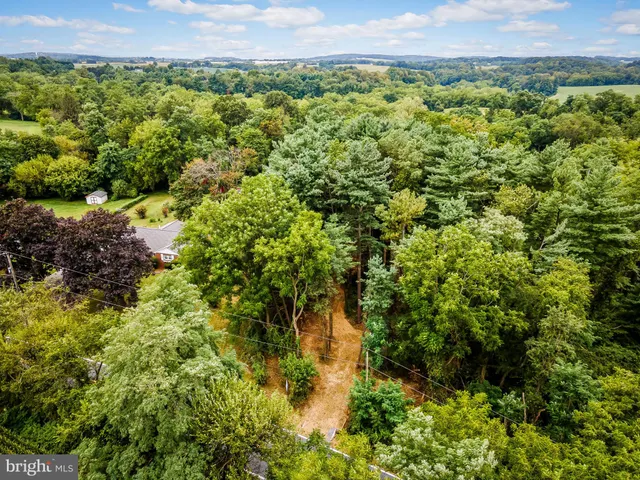 a view of a lush green field