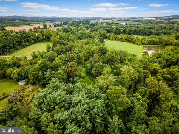 a view of a lush green forest with a houses