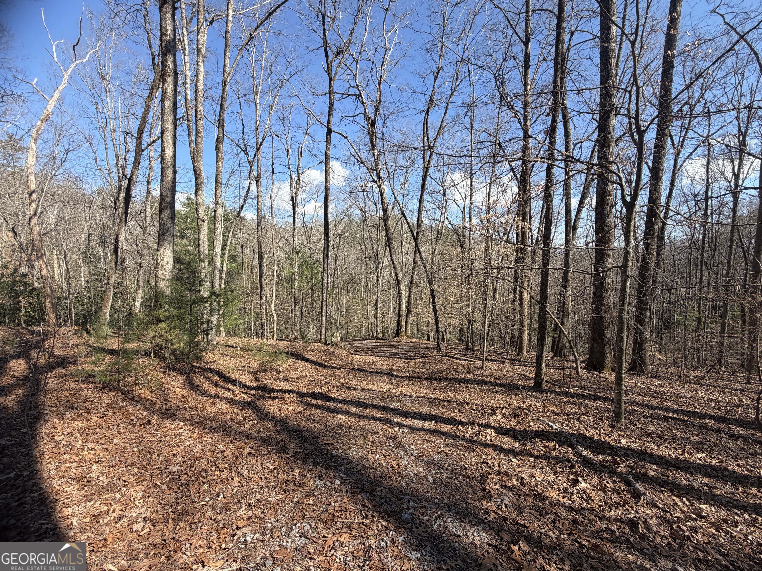 0 Shadow Mountain Drive, Unit 32 Dillard, GA 30537 - Photo 11 of 15