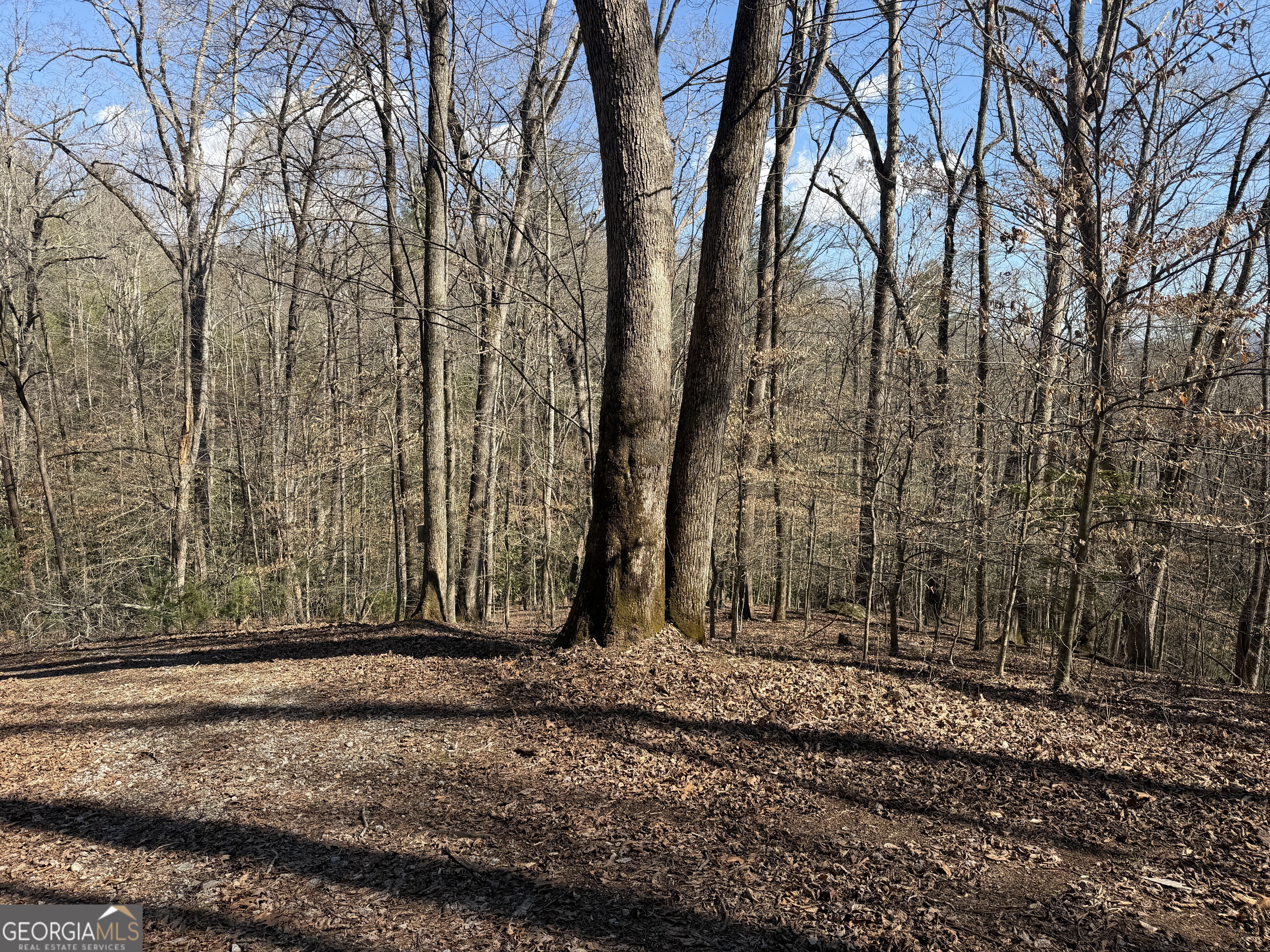 0 Shadow Mountain Drive, Unit 32 Dillard, GA 30537 - Photo 13 of 15