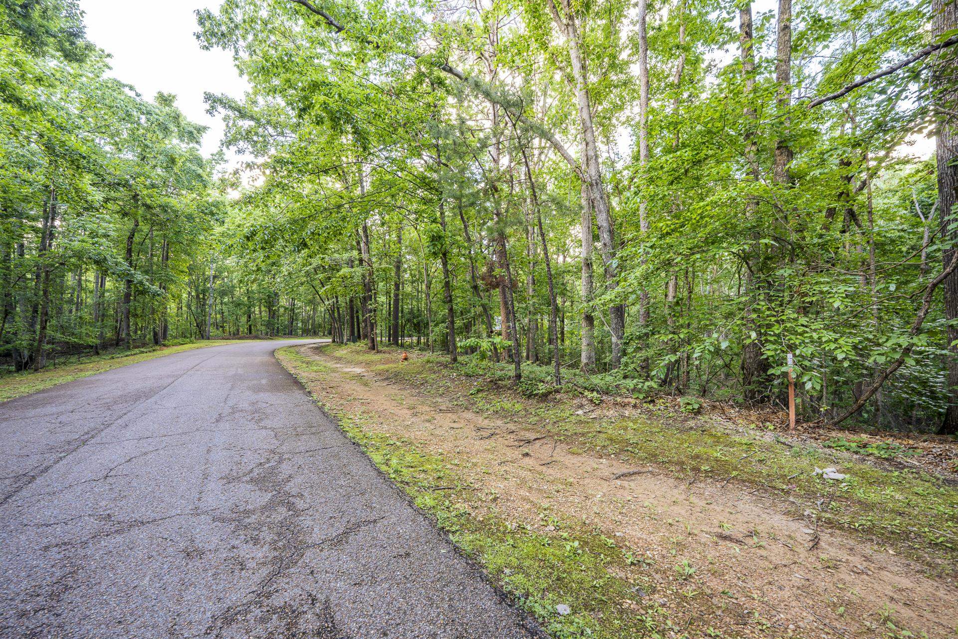 Lot 159 Anderson Hollow Road Savannah, TN 38372 - Photo 22 of 23