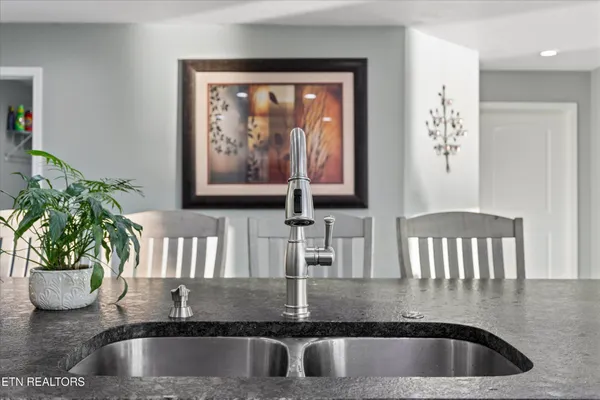 a view of kitchen sink with granite countertop a potted plant