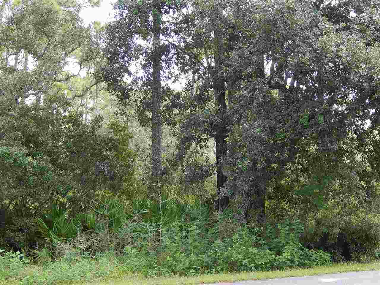 520 Mashes Sands Road Ochlockonee Bay, FL 32346 - Photo 1 of 3 Gallery Image 1