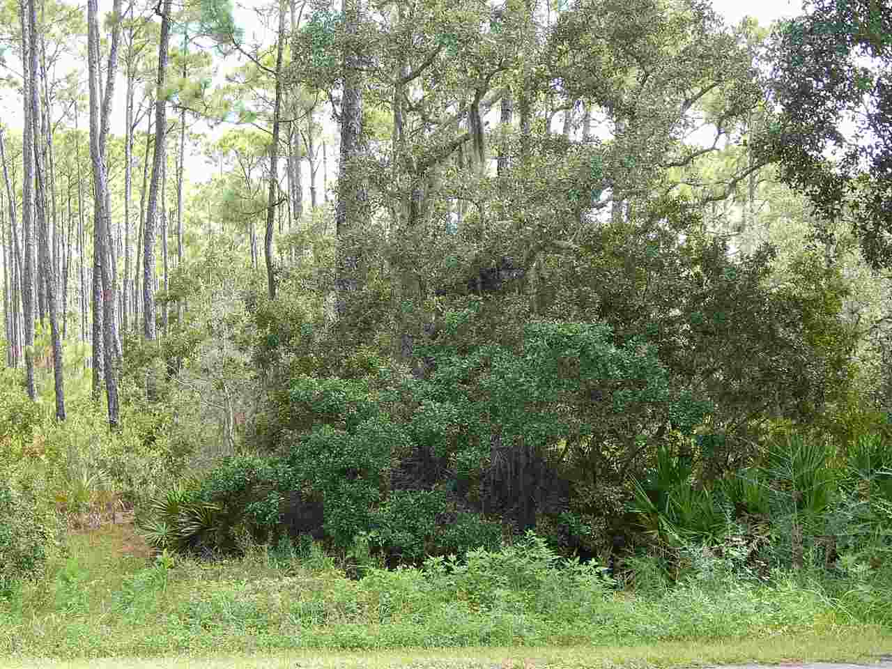 520 Mashes Sands Road Ochlockonee Bay, FL 32346 - Photo 2 of 3 Gallery Image 2