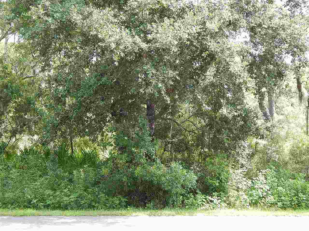 520 Mashes Sands Road Ochlockonee Bay, FL 32346 - Photo 3 of 3 Gallery Image 3