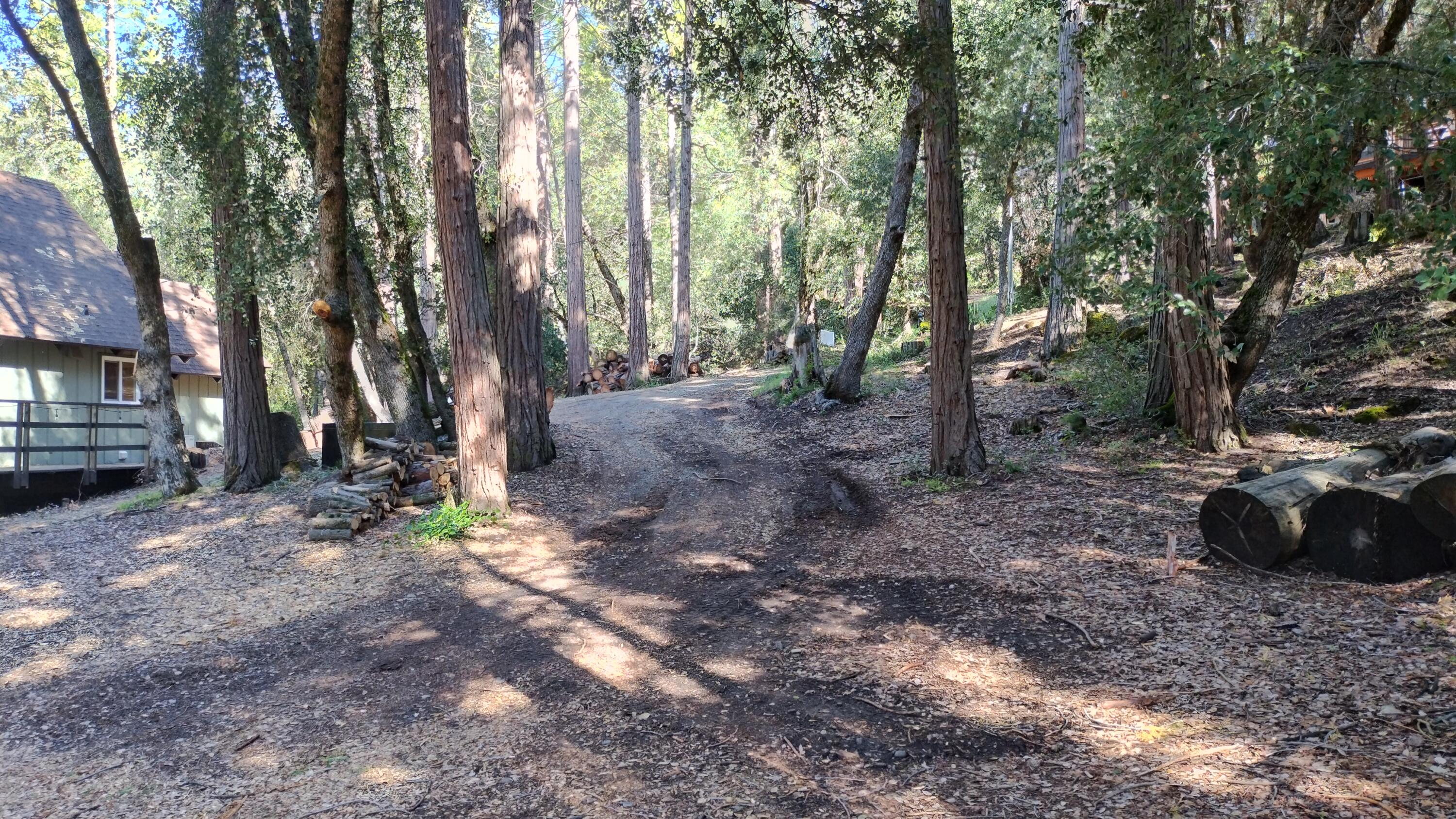 1693 Forest Rte 21S94 Camp Nelson, CA 93265 - Photo 77 of 86 a view of a forest with trees