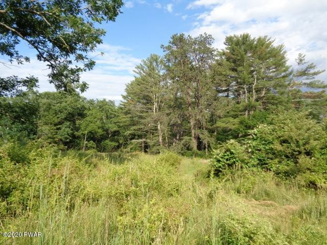 149 Rt 590 Greeley, PA 18425 - Photo 19 of 59