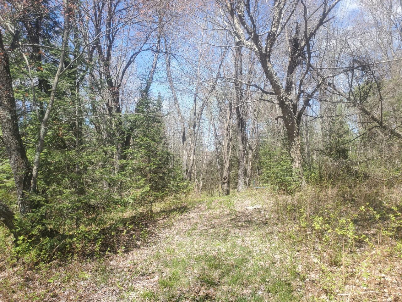 N8852 New Wood Road Tomahawk, WI 54487 - Photo 16 of 44 Gallery Image 16