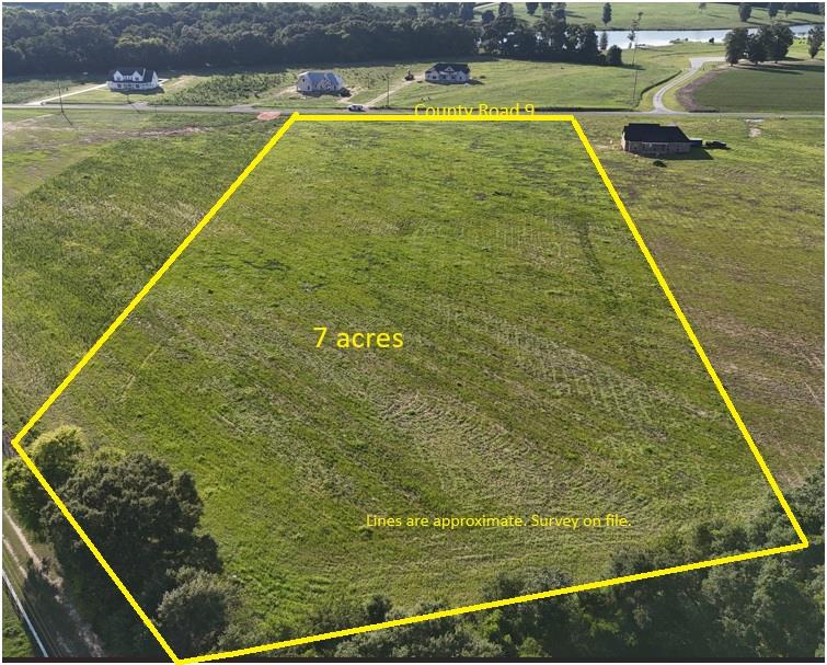 Lot 11 County Road 9 Newton, AL 36352 - Photo 1 of 12