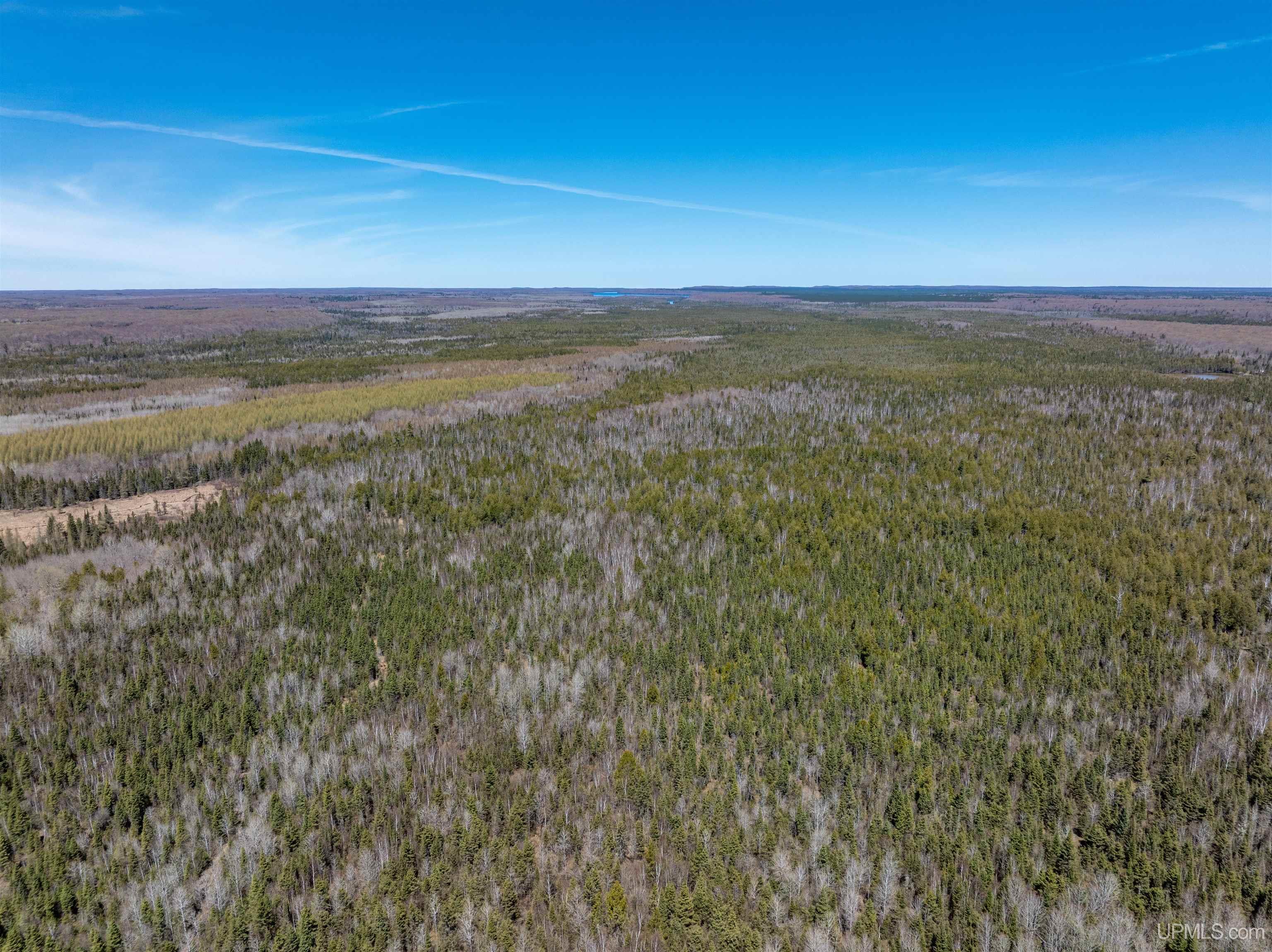 E4291 Walleye Road Chatham, MI 49816 - Photo 21 of 52