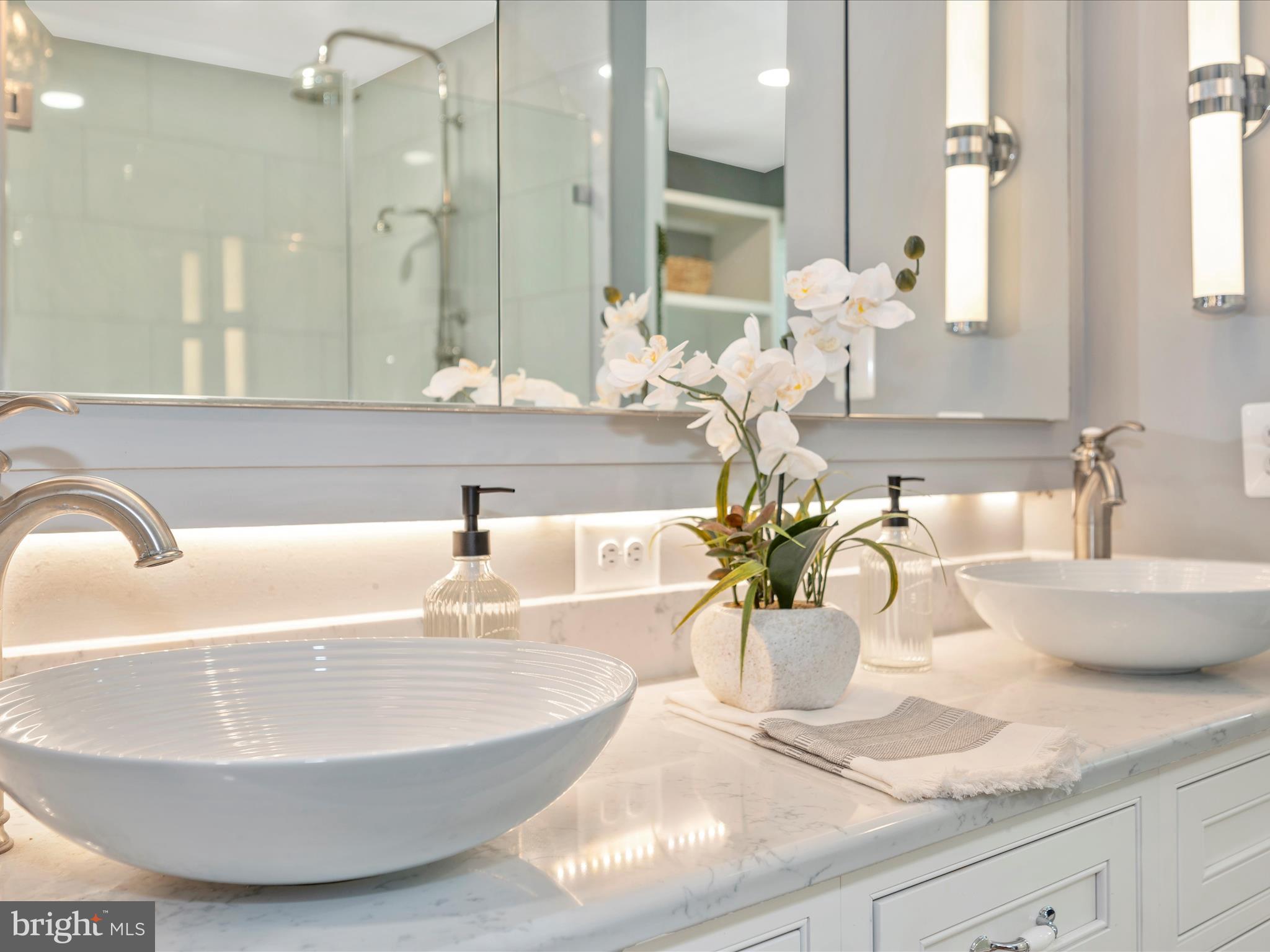 112 West 3rd Street Frederick, MD 21701 - Photo 36 of 62 Integrated mirrors