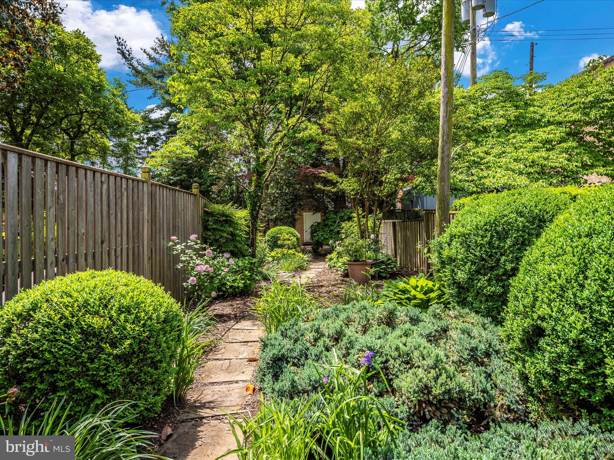 112 West 3rd Street Frederick, MD 21701 - Photo 53 of 62 Lush garden packed with perennials