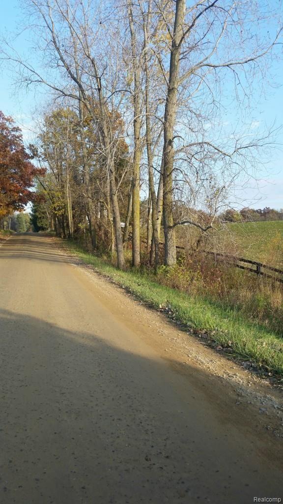 4068 Hough Road Dryden, MI 48428 - Photo 17 of 33 4068 Hough road view