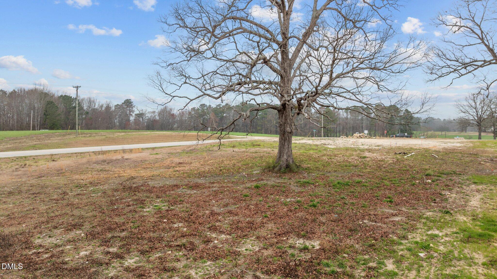 329 Bud Wall Road Youngsville, NC 27596 - Photo 4 of 7 11-web-or-mls-DJI_0536