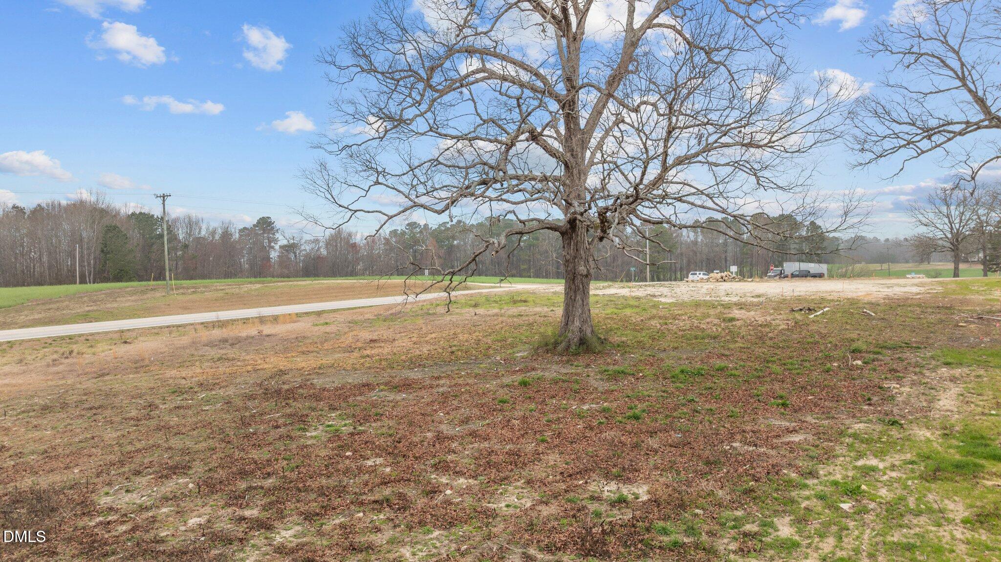 329 Bud Wall Road Youngsville, NC 27596 - Photo 7 of 7 10-web-or-mls-DJI_0535