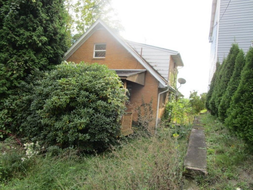 a view of a backyard with plants and large tree