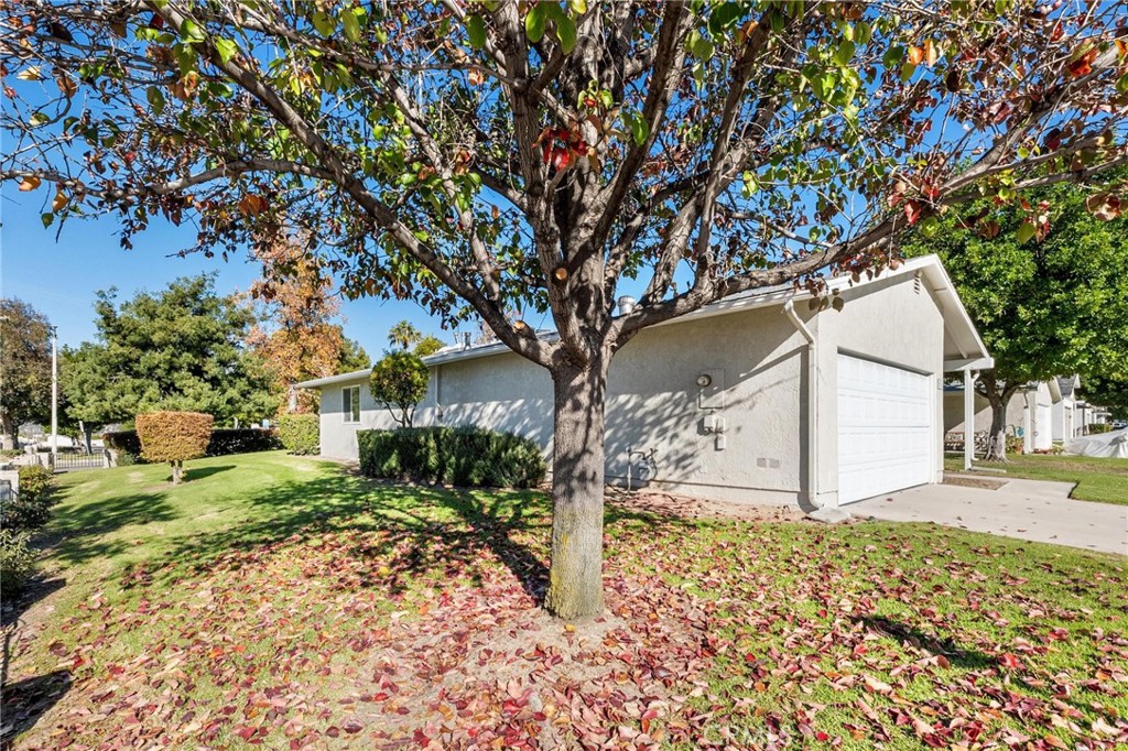 1076 Occidental Circle Redlands, CA 92374 - Photo 24 of 28 a tree in front of a white house