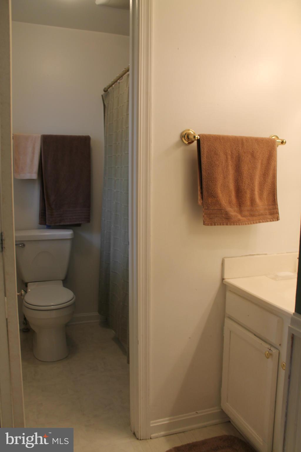 6613 Hemlock Point Road New Market, MD 21774 - Photo 14 of 20 Bath (Master)