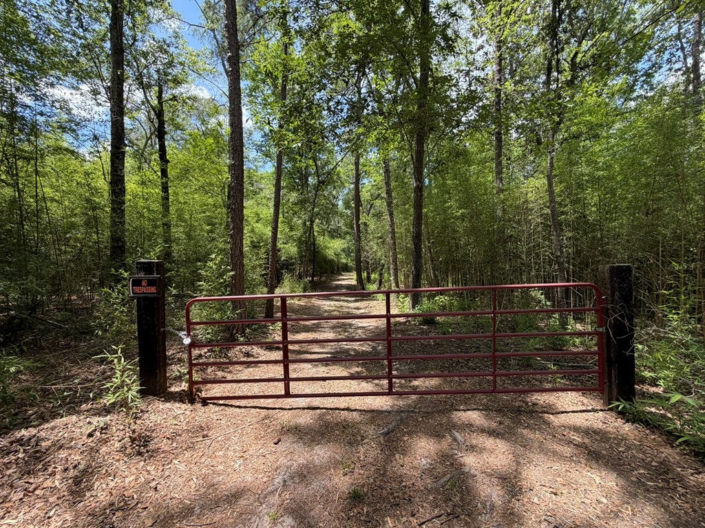 4574 Hadley Ferry Road Cairo, GA 39828 - Photo 20 of 51 Hadley Ferry Road Gate