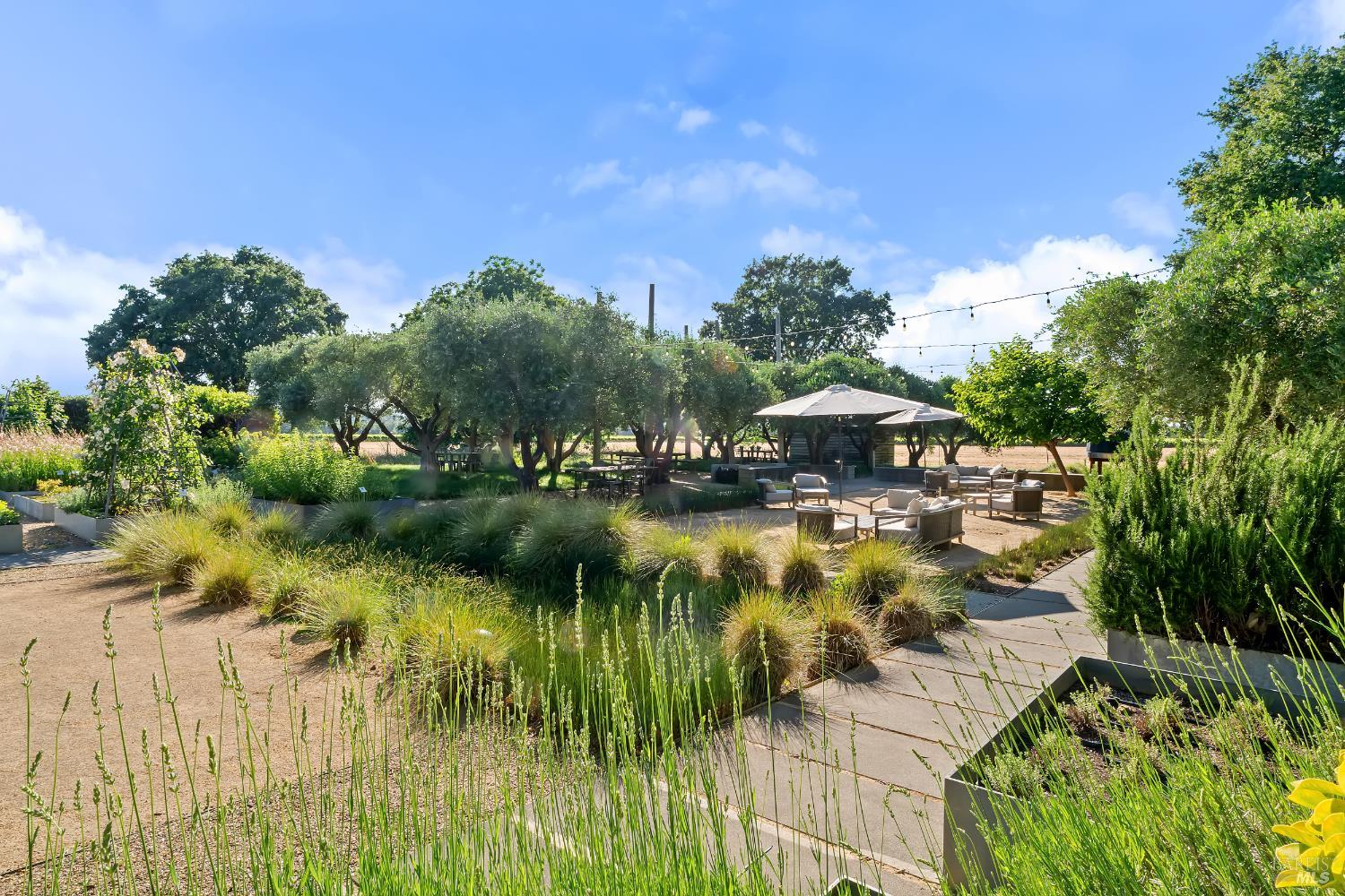 3487 Alexander Valley Road Geyserville, CA 95441 - Photo 32 of 54