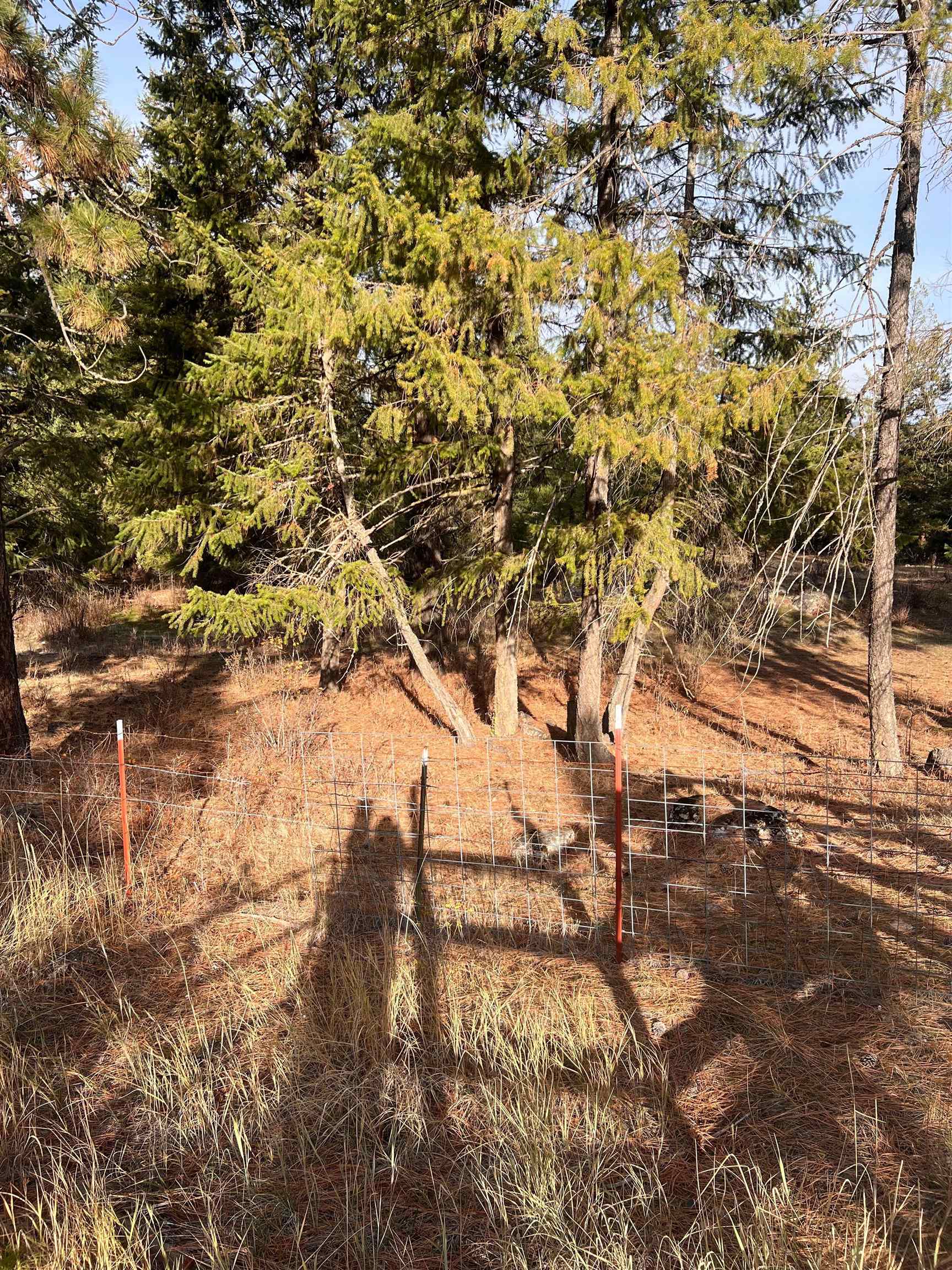 Xxxx West Brant Road Colbert, WA 99005 - Photo 5 of 12