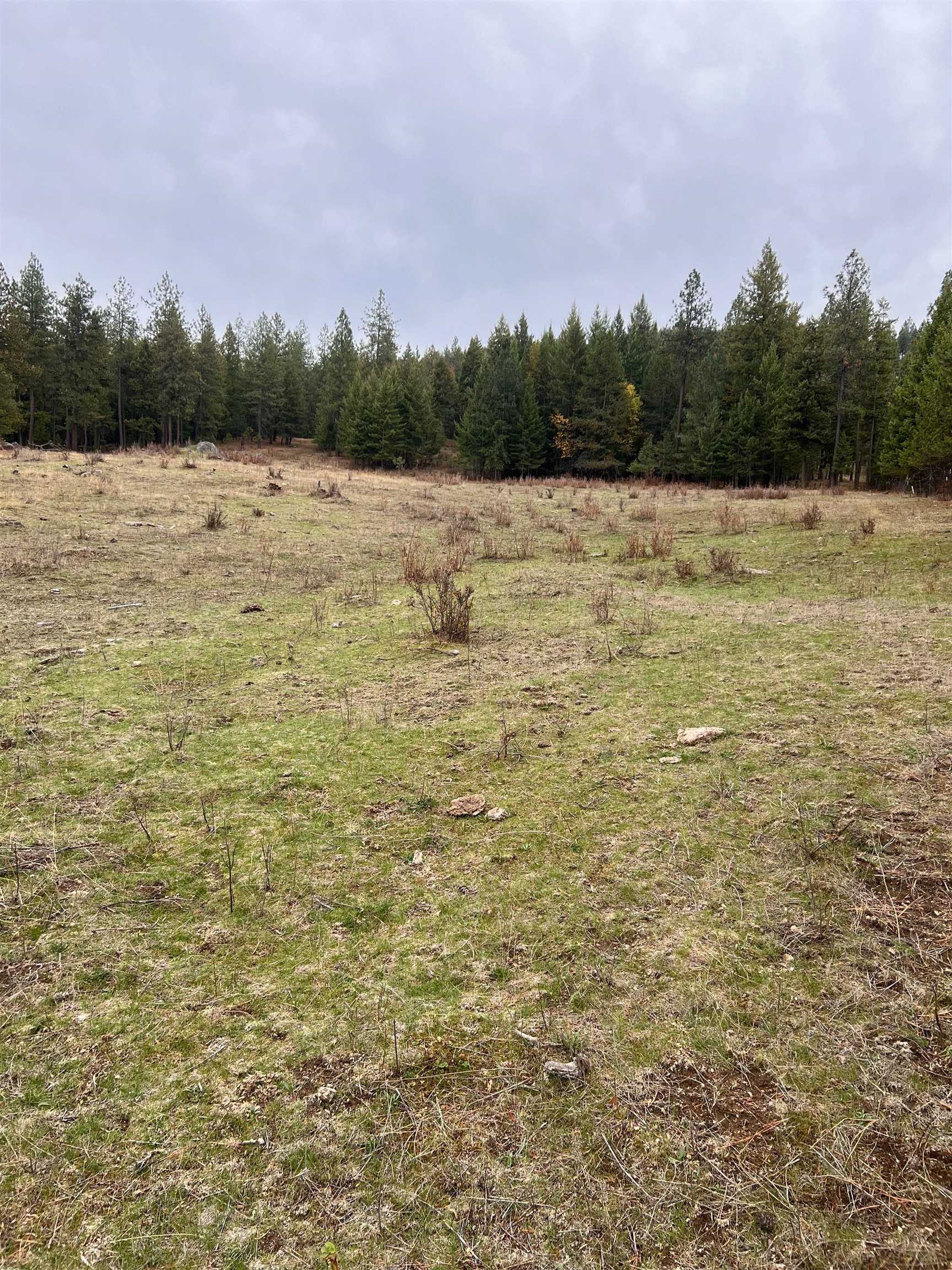 Xxxx West Brant Road Colbert, WA 99005 - Photo 6 of 12