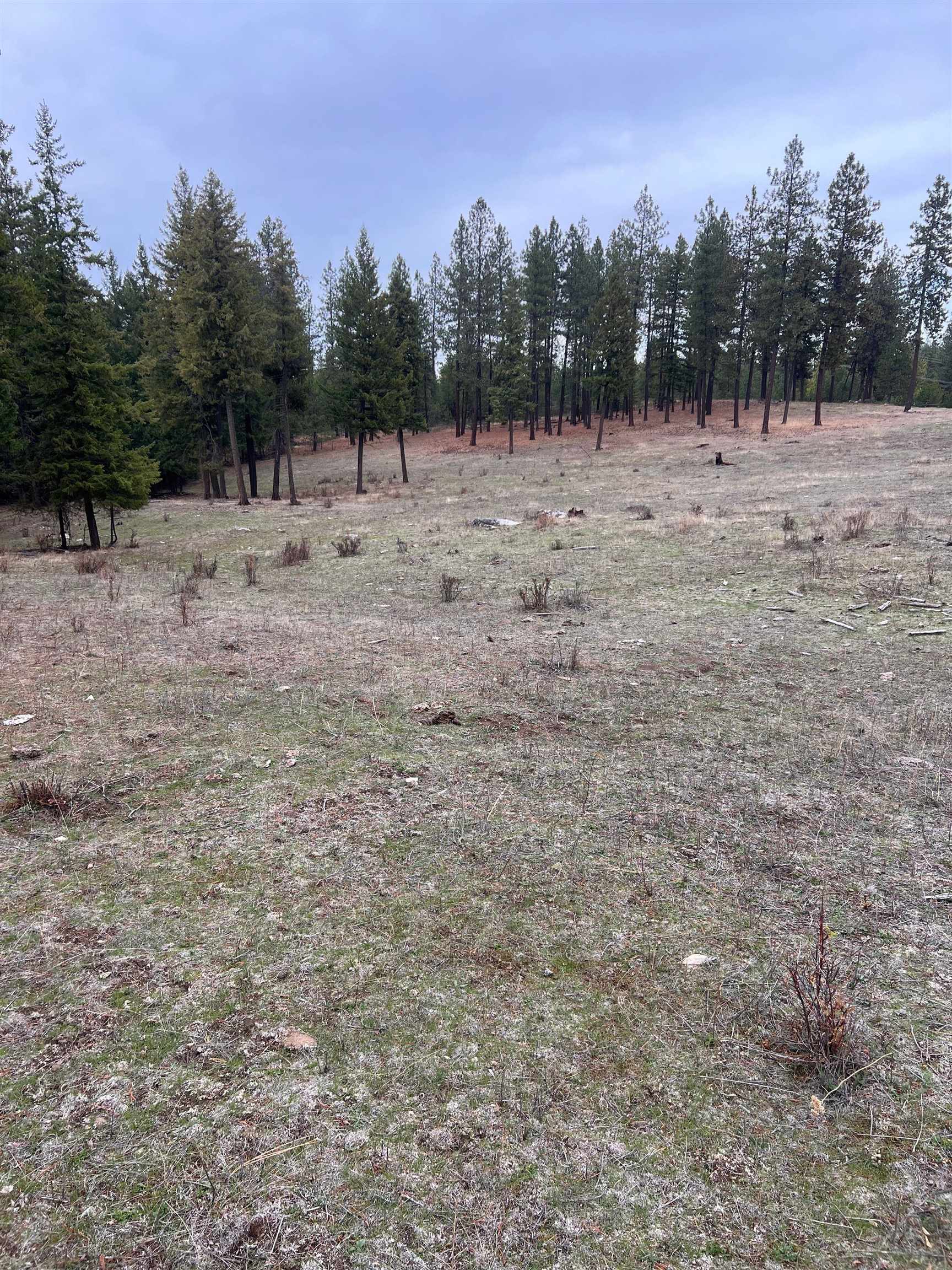 Xxxx West Brant Road Colbert, WA 99005 - Photo 8 of 12