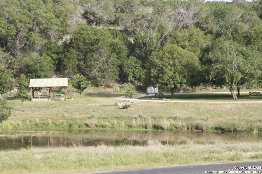 189 Cherry Springs Road Hunt, TX 78024 - Photo 34 of 34 a view of a yard with large trees