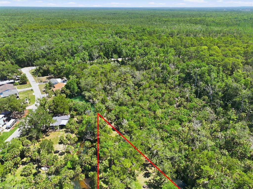 6248 Colony Circle Weeki Wachee, FL 34607 - Photo 19 of 20 a view of a big yard with plants and large trees