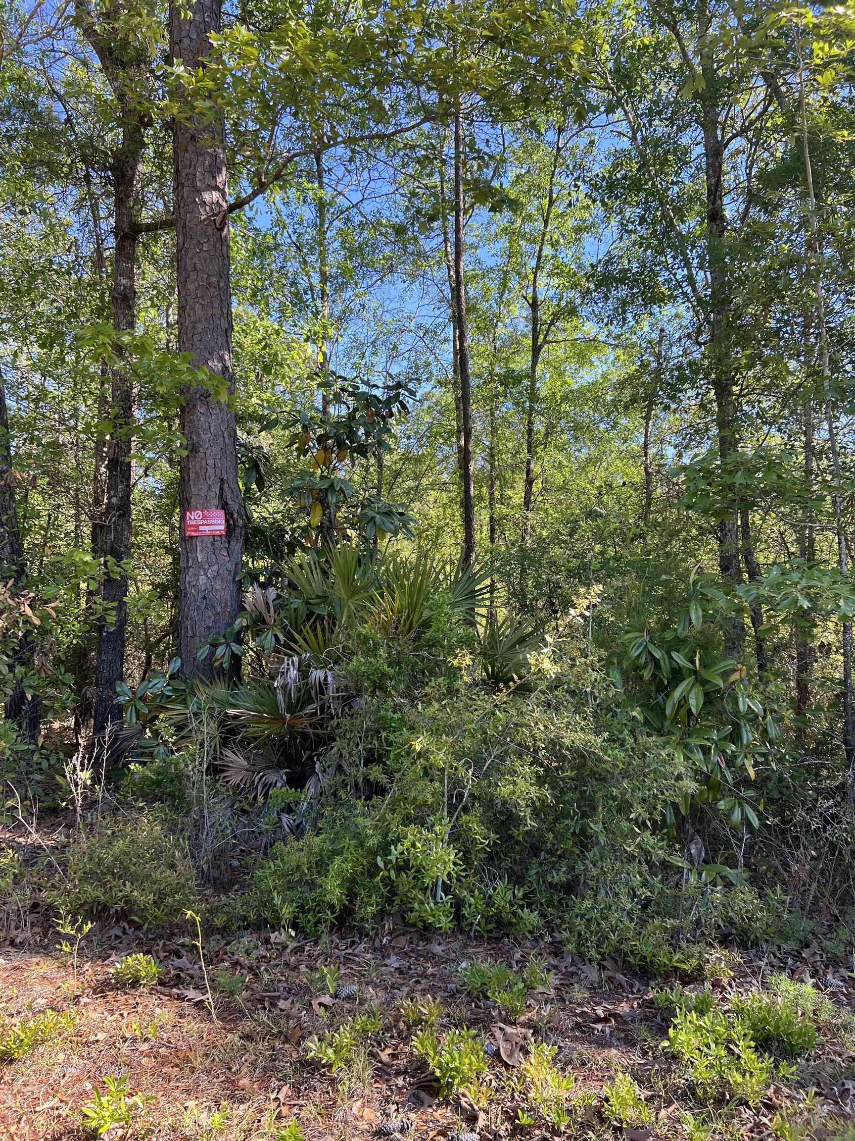 Xx Old Federal Road Quincy, FL 32351 - Photo 7 of 11