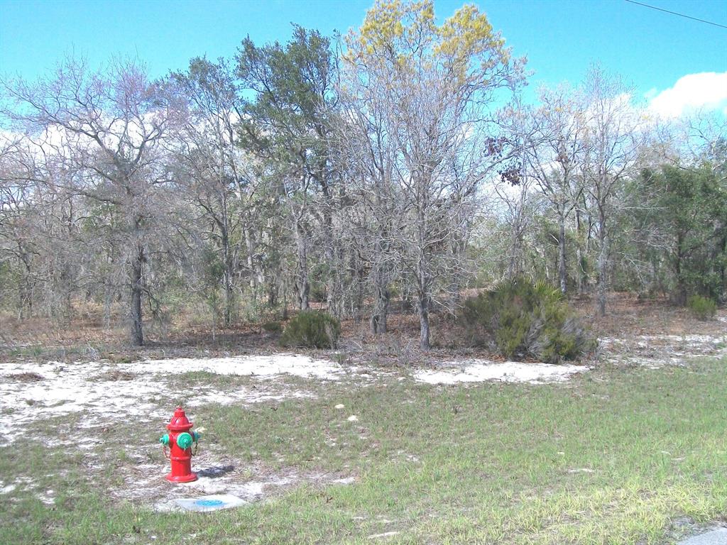 0 Southwest 144th St Road Ocala, FL 34473 - Photo 1 of 1 Pelletier lot 002