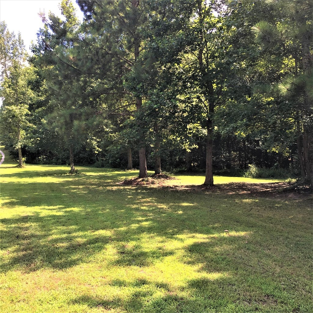 609 Eanes Road Kenbridge, VA 23944 - Photo 9 of 33 Gallery Image 9