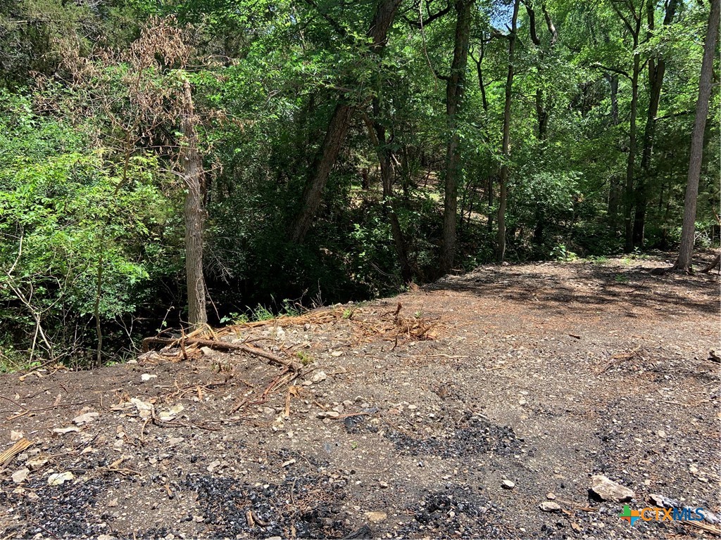 114 Deer Run Moody, TX 76557 - Photo 36 of 40 Looking from backyard at the cliff edge.