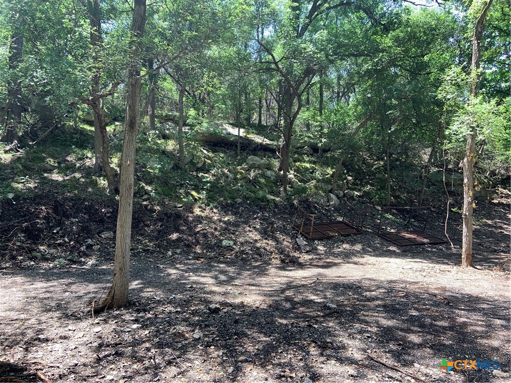114 Deer Run Moody, TX 76557 - Photo 38 of 40 Looking at the hill on the other side of creek.