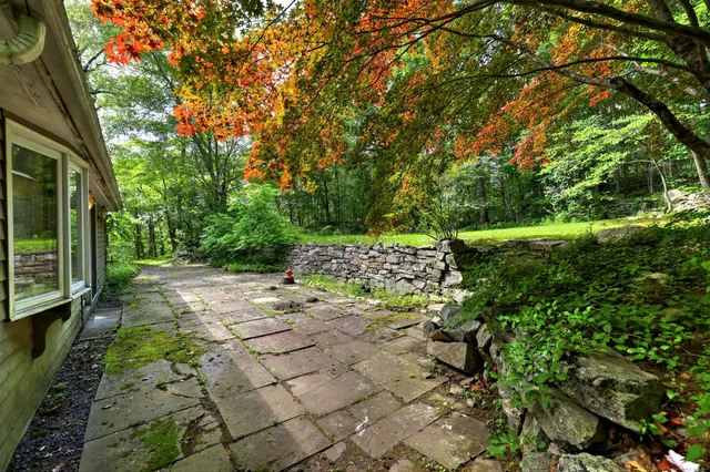 a view of a pathway with a yard