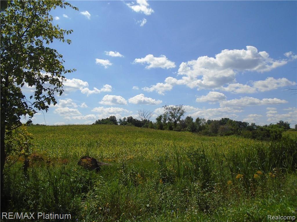 D 2 Germany Road Fenton, MI 48430 - Photo 16 of 27