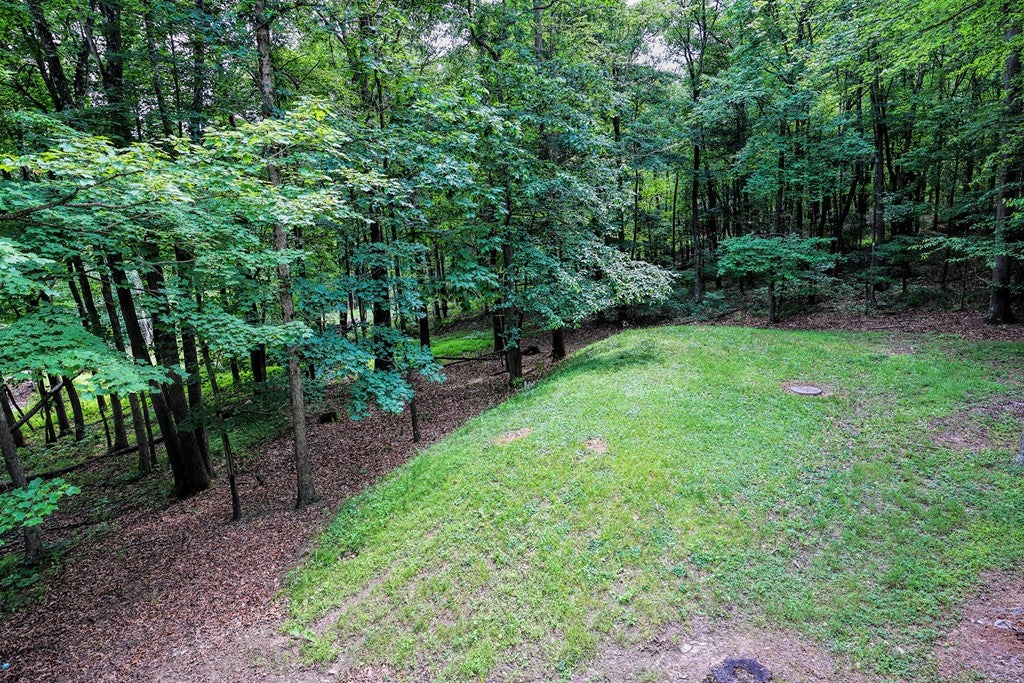 3618 Highland Road James Creek, PA 16657 - Photo 9 of 65 Gallery Image 9