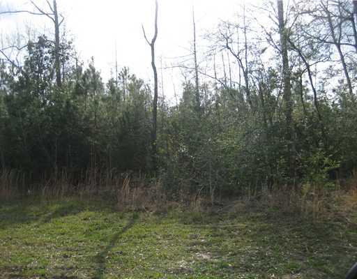 0 Strader Road Hammond, LA 70403 - Photo 1 of 4