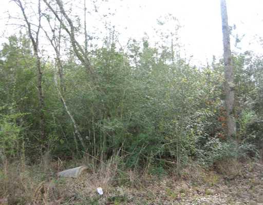 0 Strader Road Hammond, LA 70403 - Photo 2 of 4