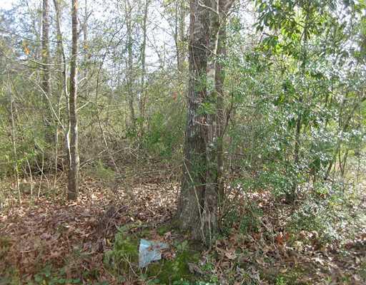 0 Strader Road Hammond, LA 70403 - Photo 4 of 4