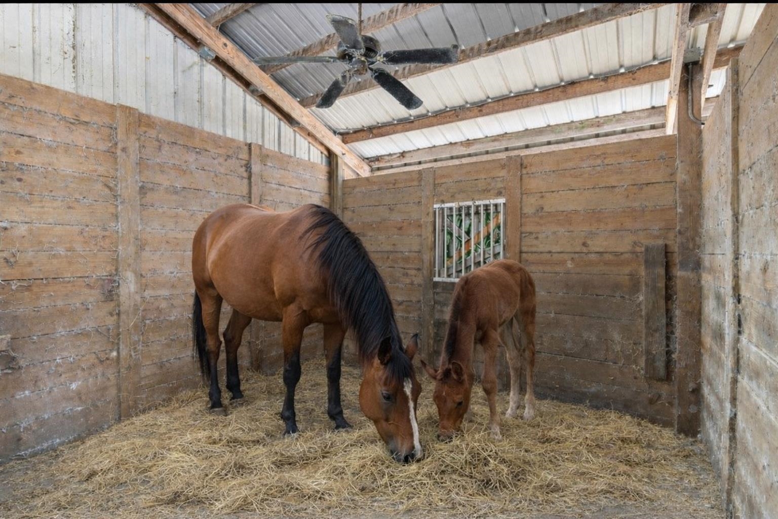 185 Omega Monticello, FL 32344 - Photo 4 of 50